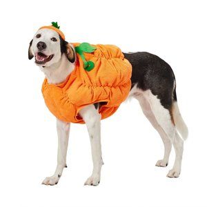 Pumpkin Ball Dog Halloween Costume - BODY PIECE ONLY
